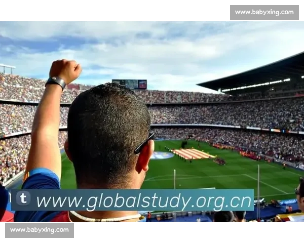 聚焦全球体育赛事比分直播实时数据与精彩赛况解析全面权威平台服务