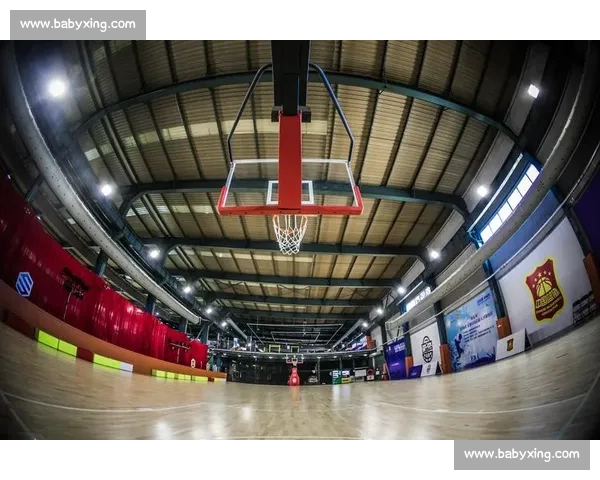 聚焦篮球直播平台打造实时赛事互动观赛新体验生态升级全民共享